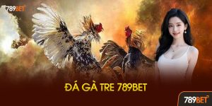 đá gà tre 789bet